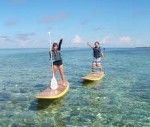 社会人サークル　マリンスポーツ　湘南
