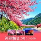 河津桜まつりバスツアー