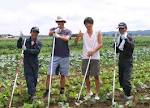 体験イベント畑植え付け