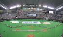 プロ野球開幕東京ドームサークル観戦