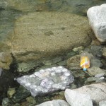 アウトドアサークル
