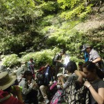 神奈川社会人サークル　アウトドア