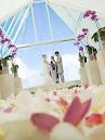 社会人サークル　婚活　神奈川