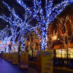 社会人サークル　イルミネーション　神奈川