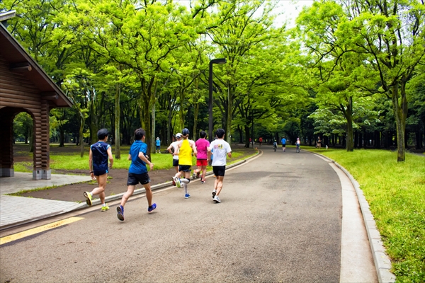 得意分野